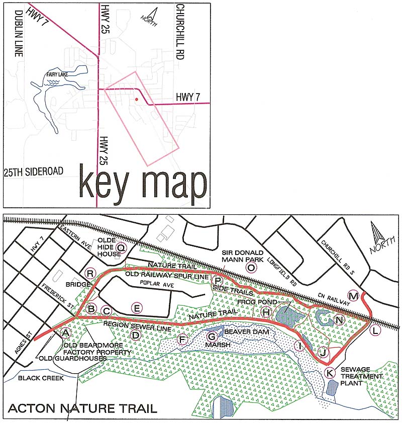 map of the nature trails along the Black Creek in Acton Ontario